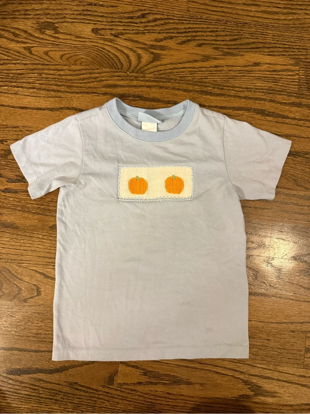 Light Blue shirt with smocked Pumpkins